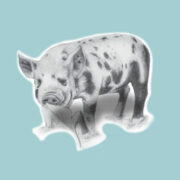 Cropped South Farm Pig Icon 180x180